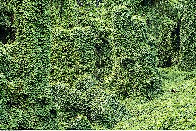 TGS 2022：《海贼王：时光旅诗》发售日公布